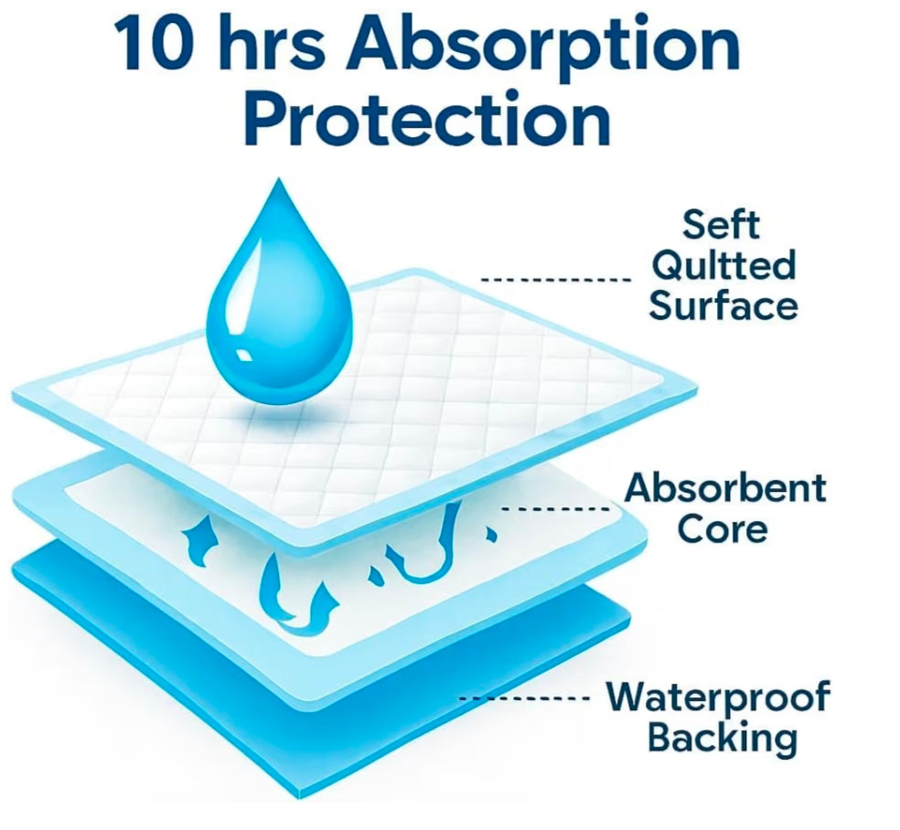 Diagram of pee pad's 3 layers – soft quilted surface, absorbent core, and waterproof backing – offering 10 hours absorption protection