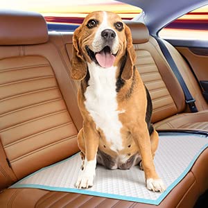 Dog sitting on a car seat cover with a water-resistant mat in a car.
