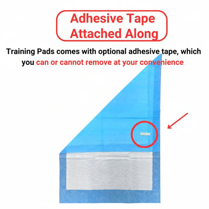 Blue training pad with adhesive tape attached, featuring Zoivane Pets branding.