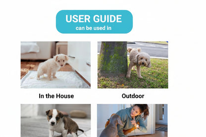 Zoivane Pets user guide showing scenarios for using the product indoors, outdoors, on carpet, and on floor.